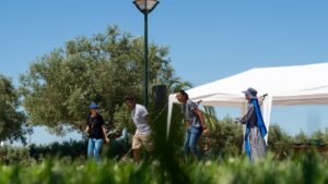 Missão de Evangelização de Verão Summer3Fest - Testemunhas da Esperança, no Santuário de Cristo Rei